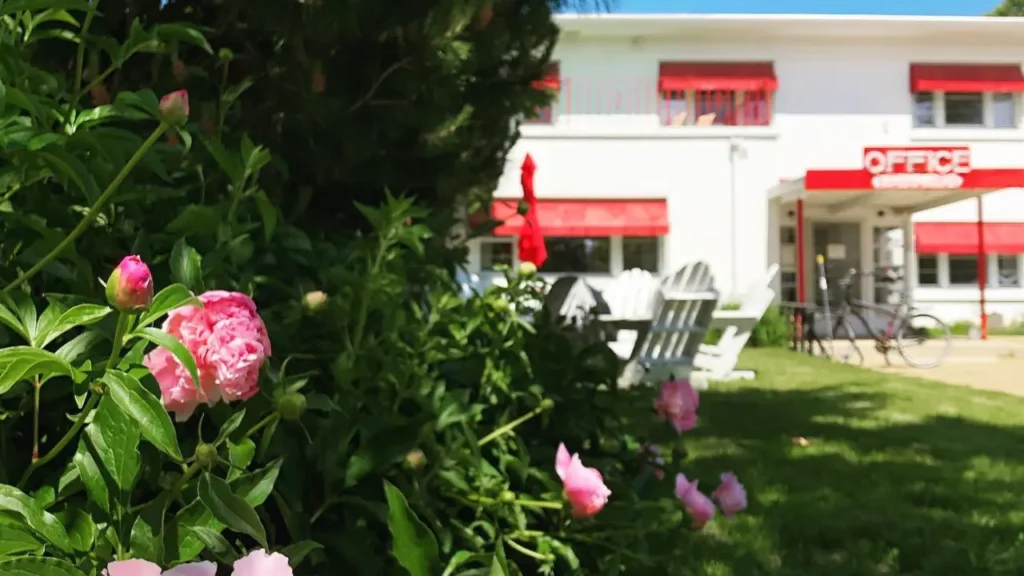 Flowers in front of the Holiday Entrance