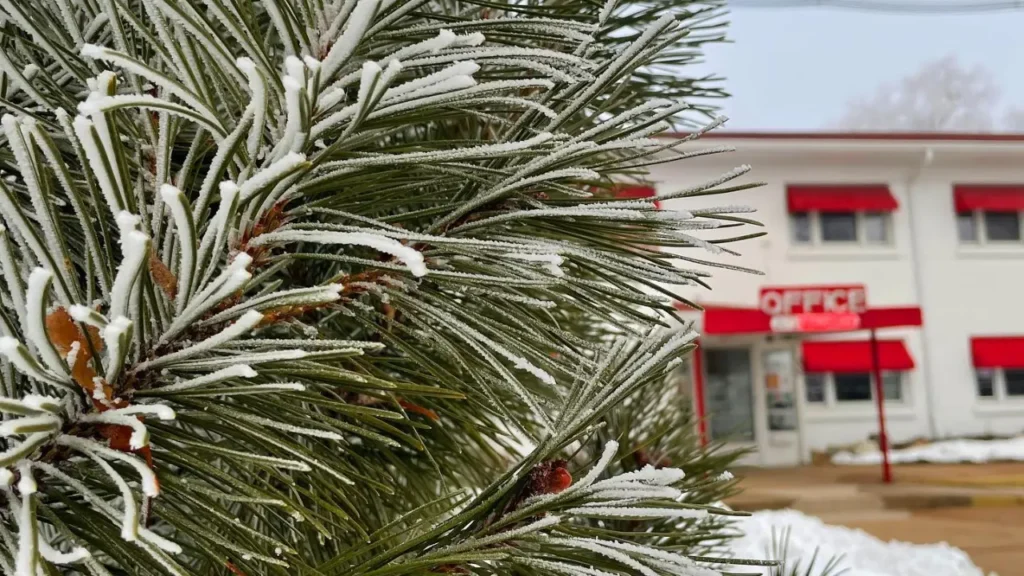 Evergreen tree with frost in front of motel lobby